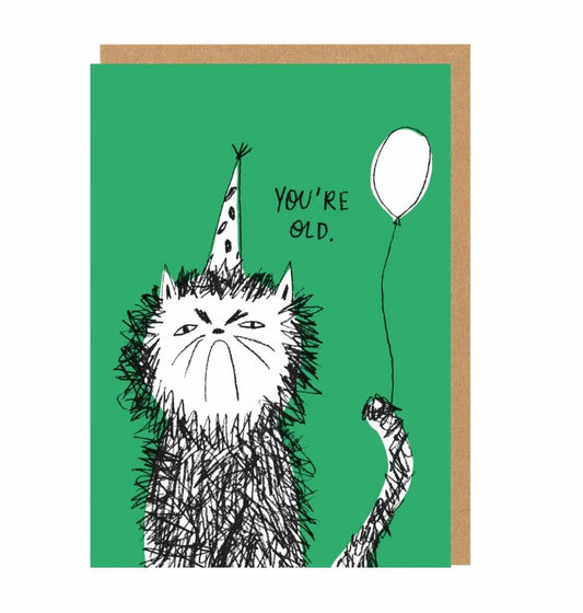 You're Old Cat Birthday Card